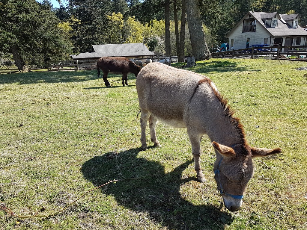 Parry Bay Sheep Farm | 4335 Lindholm Rd, Victoria, BC V9C 3Y1, Canada | Phone: (250) 478-9628