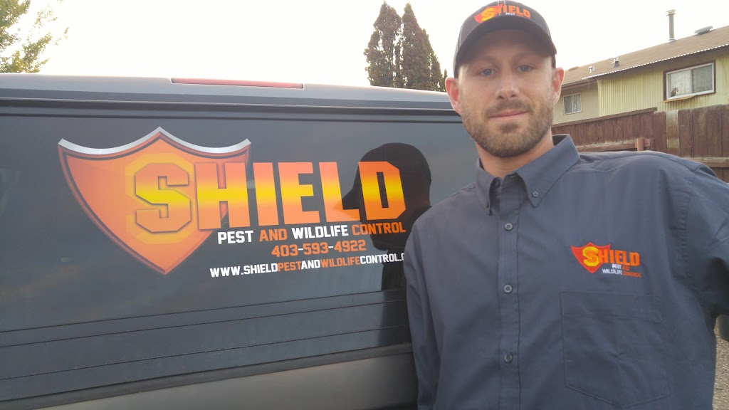 Shield Pest and Wildlife Control | 116 Jessie Robinson Cl N, Lethbridge, AB T1H 3Y8, Canada | Phone: (403) 593-4922