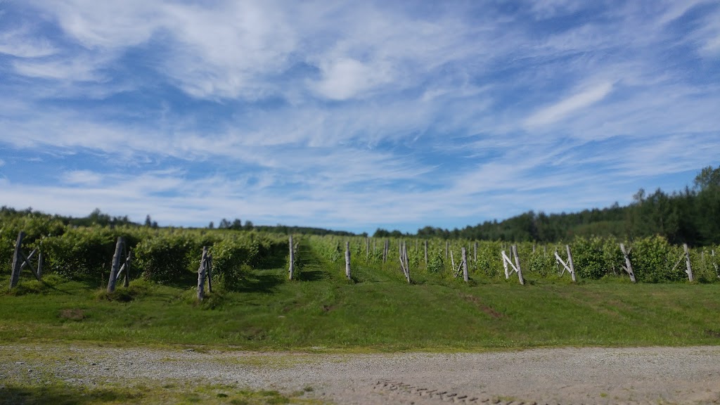 La Halte des Pèlerins | 693 Chemin du Sanctuaire, Sherbrooke, QC J1H 0E1, Canada | Phone: (819) 563-5115