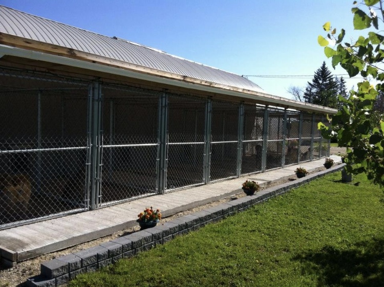 Diamond in the Ruff Kennels | 2 Miles West of Rosenort, Rosenort, MB R0G 1W0, Canada | Phone: (204) 746-2235