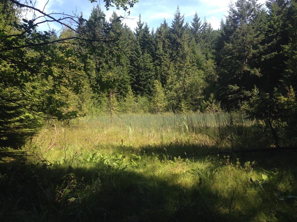 Fairy Fen Nature Reserve | Bowen Island, BC V0N 1G2, Canada