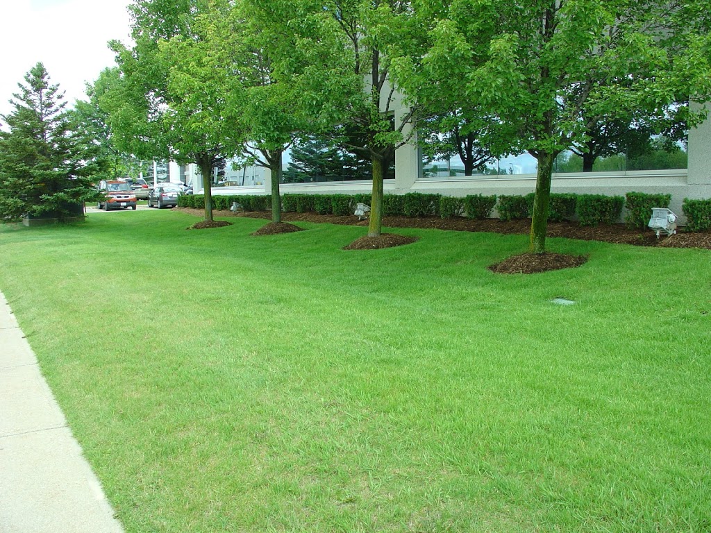 Essential Landscaping Ltd. | 19-1 Marconi Ct, Bolton, ON L7E 1E2, Canada | Phone: (905) 857-5296