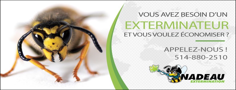 Nadeau Extermination | 190 Chemin Boisé, Saint-Calixte, QC J0K 1Z0, Canada | Phone: (514) 880-2510