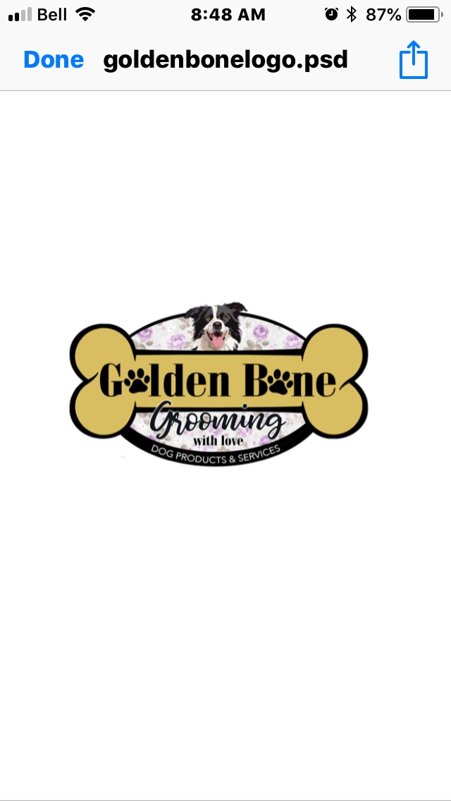 The Golden Bone | 4740 50 Ave, Calmar, AB T0C 0V0, Canada | Phone: (780) 903-2880