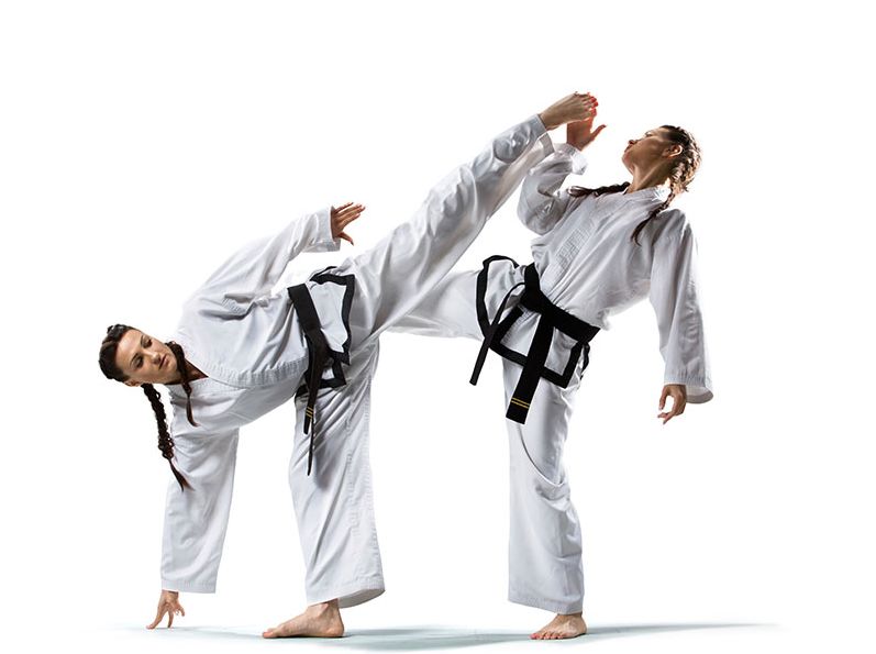 Dynamic Karate | 150 Violet Dr, Hamilton, ON L8E 6B4, Canada | Phone: (905) 928-5425
