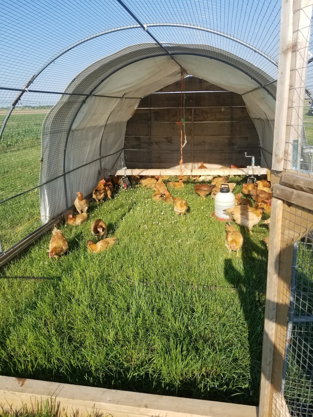 Rosenglitter Care Farm | 8061 2 Line, Arthur, ON N0G 1A0, Canada | Phone: (519) 831-6423