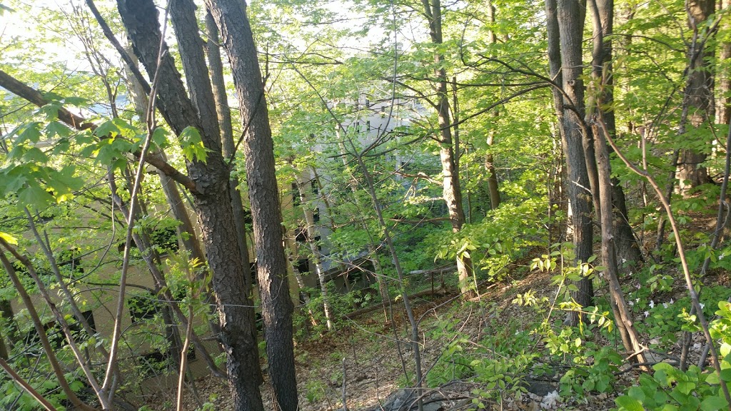 Djodjâgué Otchiraguéné | Ch de Ceinture, Outremont, QC H2V 2T2, Canada