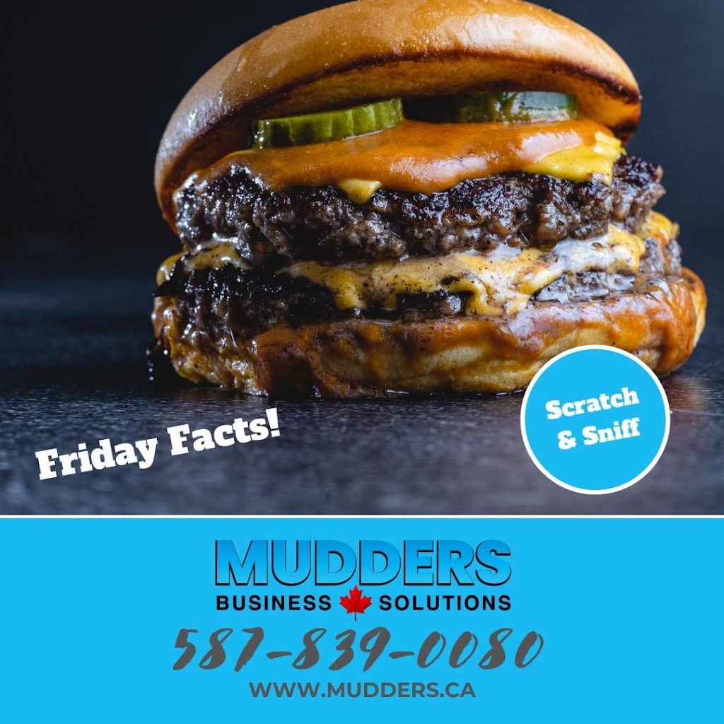 Mudders Business Solutions | 67 Kingsland Pl SE, Airdrie, AB T4A 0C7, Canada | Phone: (587) 839-0080