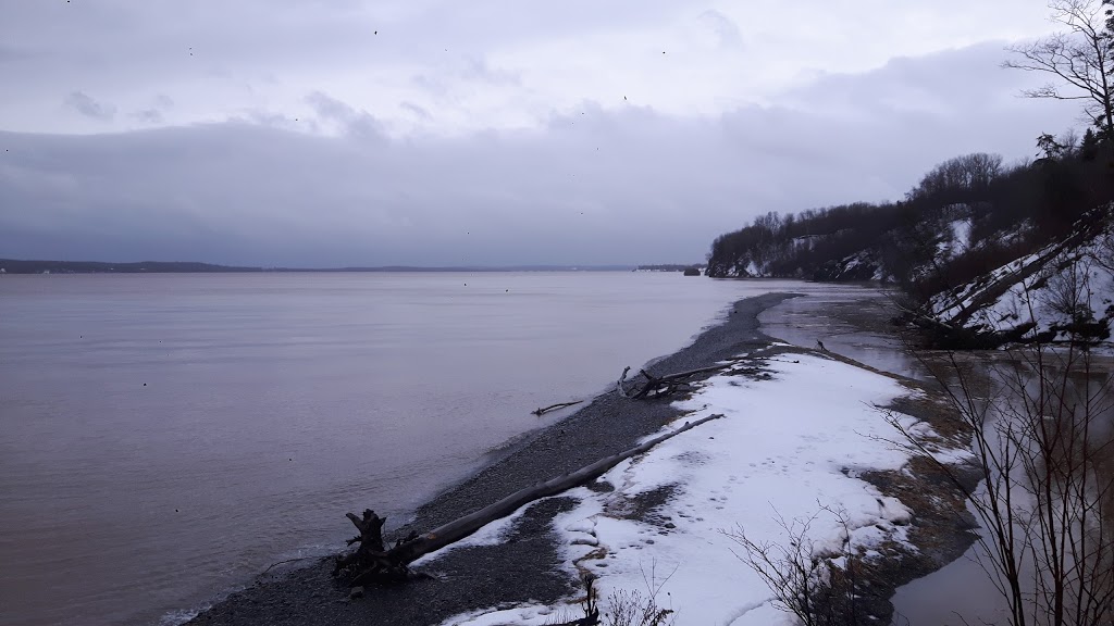 Blue Beach Fossil Museum | 127 Blue Beach Rd, Hantsport, NS B0P 1P0, Canada | Phone: (902) 790-9541