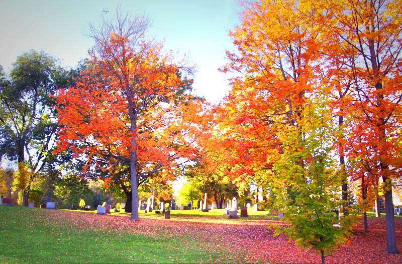 Elmwood Cemetery | 1101 Rue Hyatt, Sherbrooke, QC J1J 3T6, Canada | Phone: (819) 562-4555