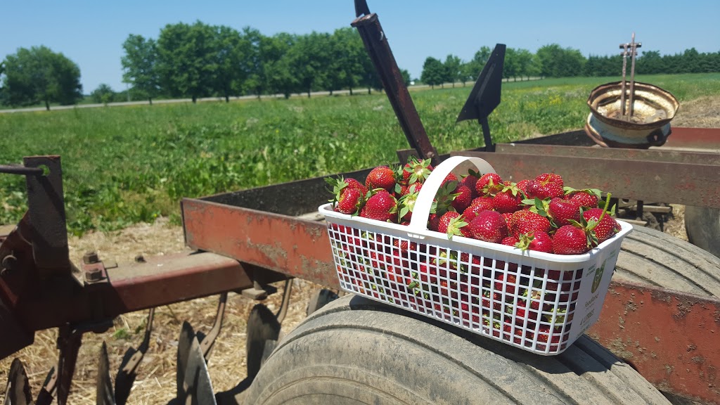 Thatcher Farms Country Store, Butcher Shop and Bakery | 5727 5th Line, Guelph/Eramosa, ON N0B 2K0, Canada | Phone: (519) 856-4073