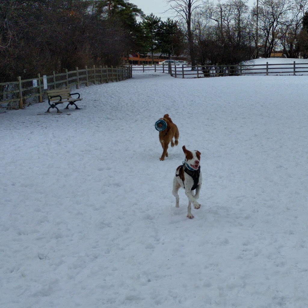 G. Ross Lord Dog Park | 4777 Dufferin St, North York, ON M3H 5T4, Canada