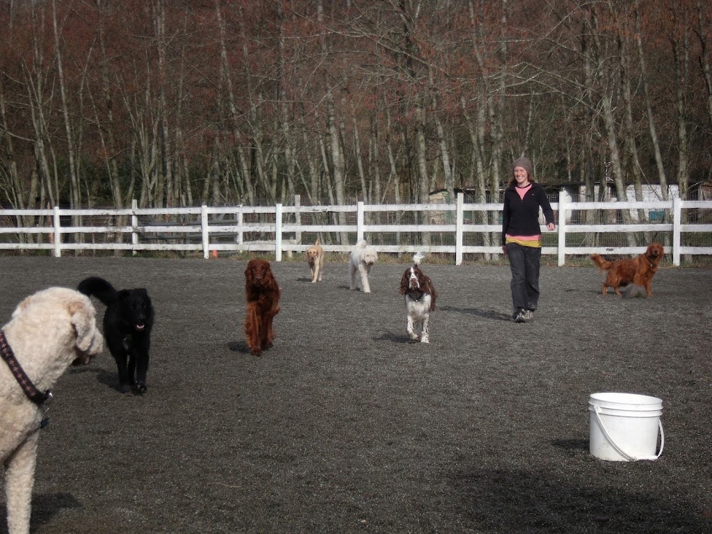 Country Ranch Dog Boarding and Training | 1032 Finch Dr, Squamish, BC V8B 0A4, Canada | Phone: (604) 849-0620