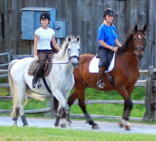 Whitchurch Riding Academy | 19480 McCowan Rd, Mount Albert, ON L0G 1M0, Canada | Phone: (905) 473-5260