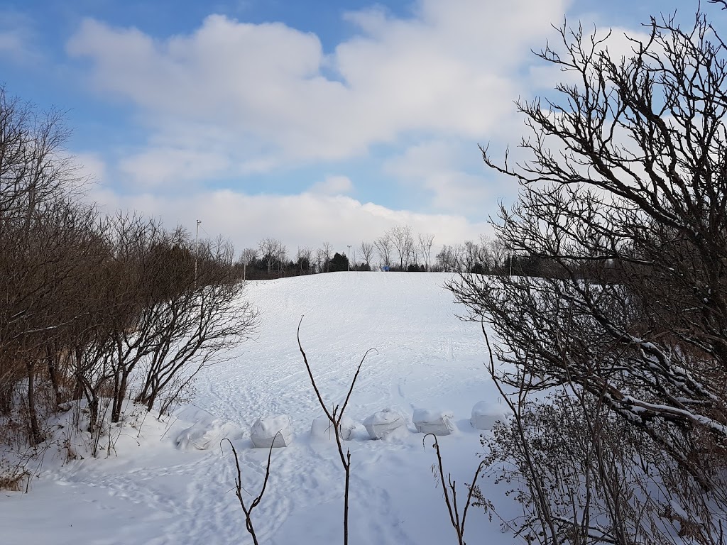 Greens Creek Sliding Hill | Bearbrook Rd, Ottawa, ON K1B 1B8, Canada