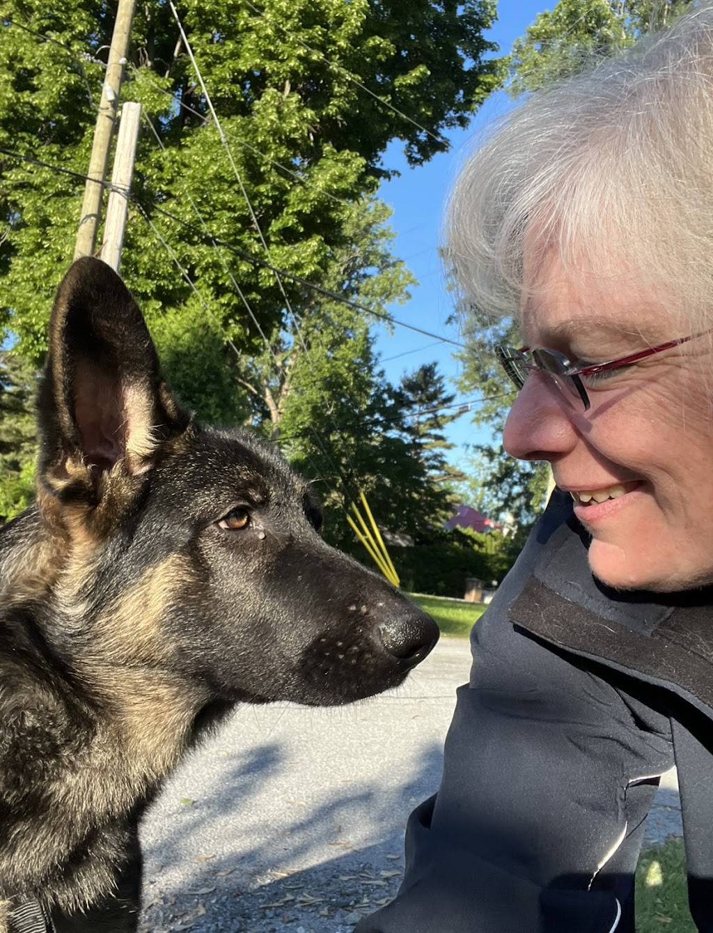 Joëlle Hamelin, intervenante en comportement canin | 3600 Bd Fréchette #103, Chambly, QC J3L 0B2, Canada | Phone: (514) 668-0950