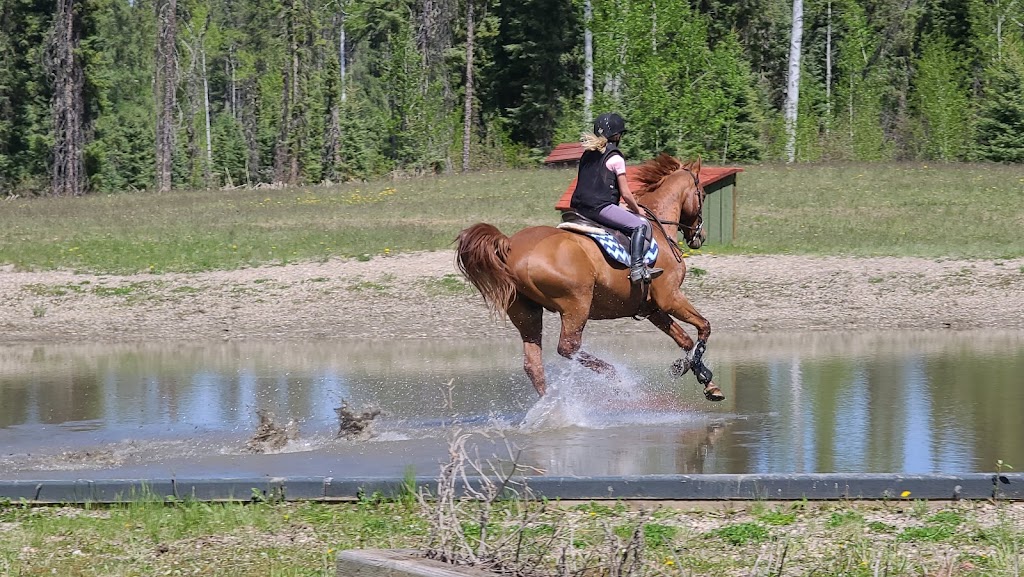 Prentice Creek Equestrian Centre | Clearwater County, AB T0M 0C0, Canada | Phone: (403) 846-8756