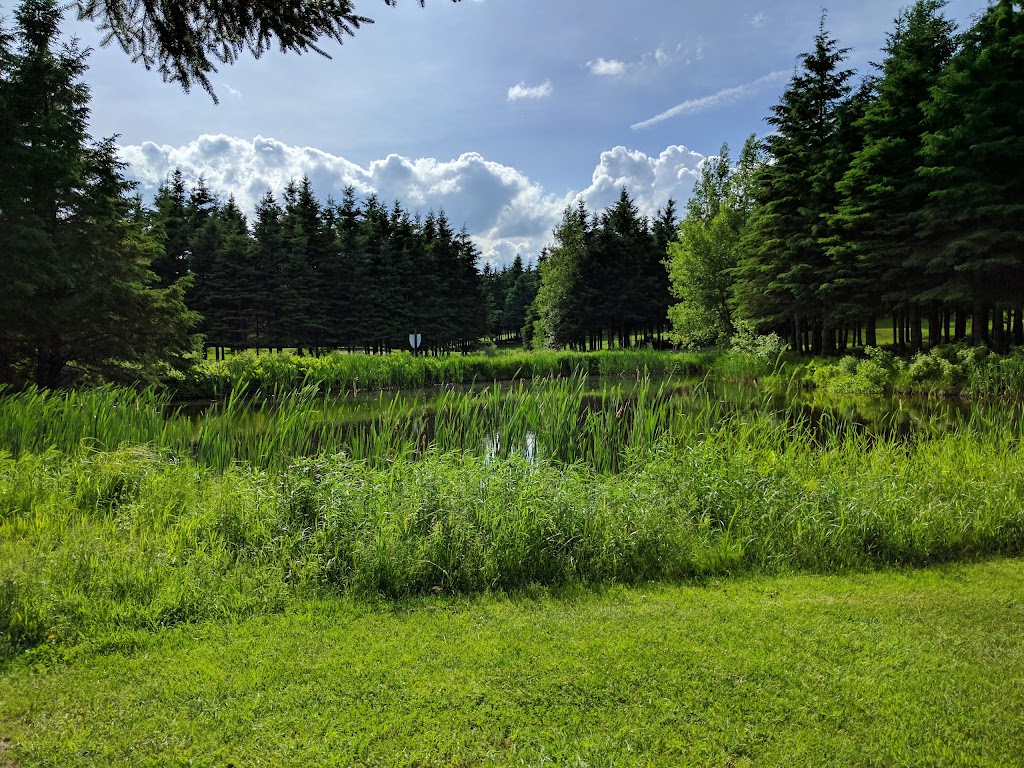 Golf du Moulin Laflamme | 65 Rang des Binet, Saint-Benoît-Labre, QC G0M 1P0, Canada | Phone: (418) 222-6012