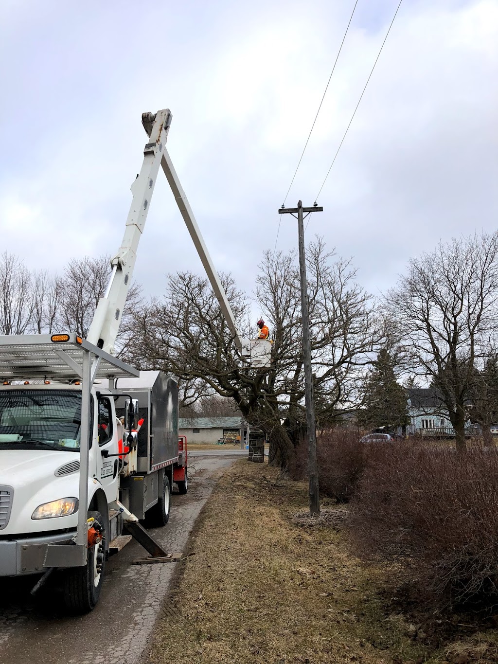 UTS Tree Care - Uxbridge Tree Service | 5 Banff Rd, Uxbridge, ON L9P 1S9, Canada | Phone: (833) 337-8733