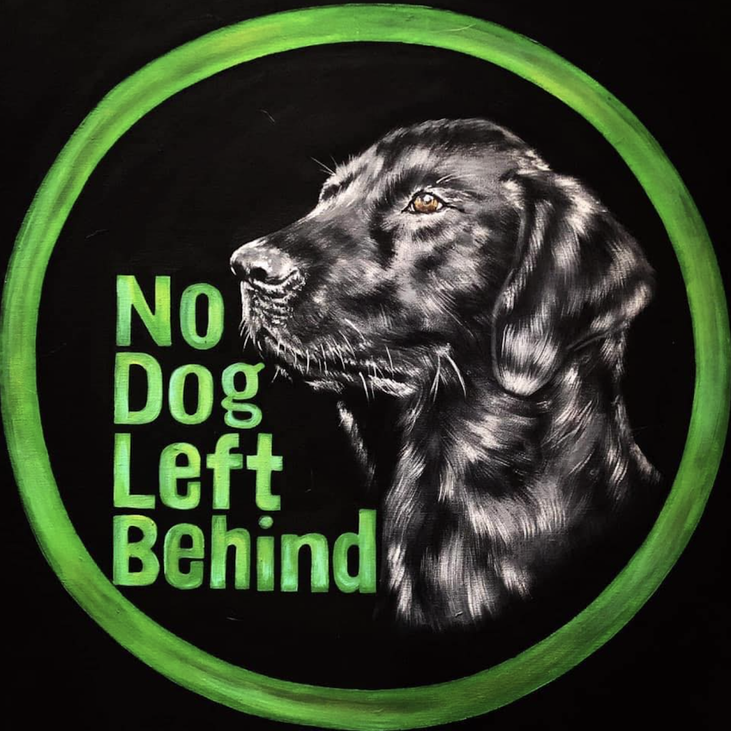 No Dog Left Behind | 710 Fairford St W Unit #3, Moose Jaw, SK S6H 1W4, Canada | Phone: (306) 630-5801