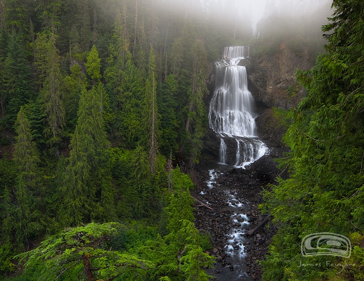 Whistler Discovery Tours | 8080 Nesters Rd, Whistler, BC V0N 1B2, Canada | Phone: (604) 966-7385