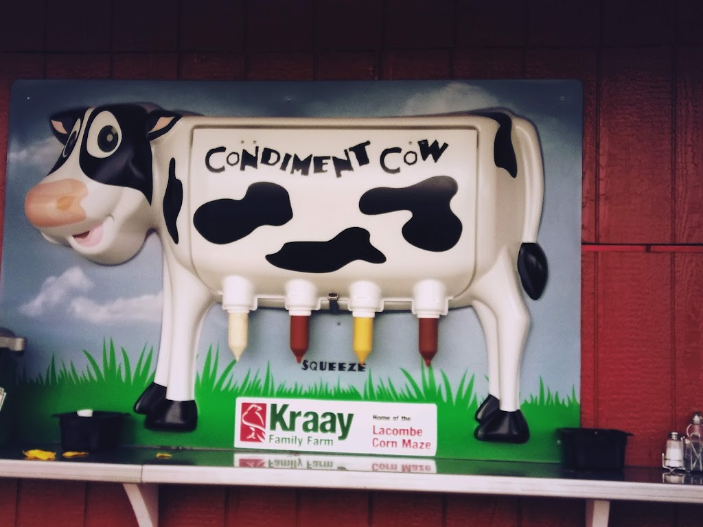 Kraay Family Farm, Home of the Lacombe Corn Maze, inc. | Site 6 Box 9 RR 1, Lacombe, AB T4L 2N1, Canada | Phone: (403) 302-1709