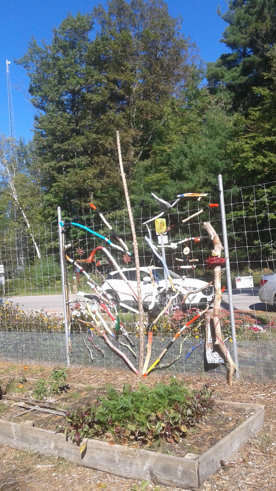 Community Garden | Wasaga Beach, ON L9Z 2X5, Canada