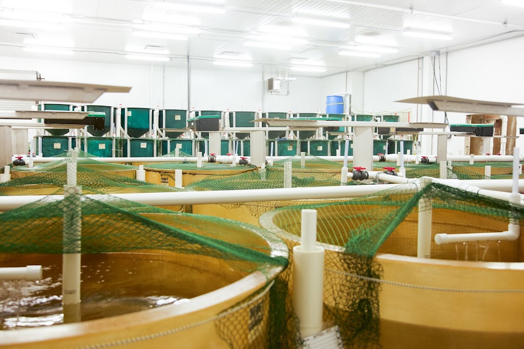 Center for Aquaculture Technologies (CAT) - Souris | 20 Hope Street, Souris, PE C0A 2B0, Canada | Phone: (902) 687-1245