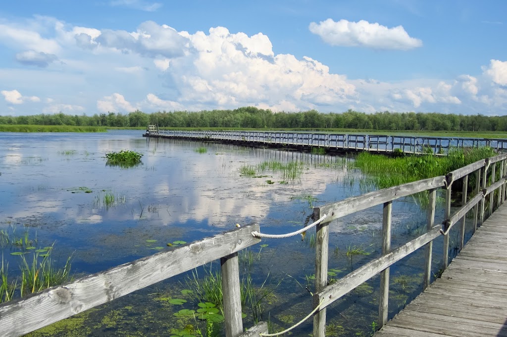 Sentier écologique de la Grande Baie | Unnamed Road, Oka, QC J0N 1E0, Canada