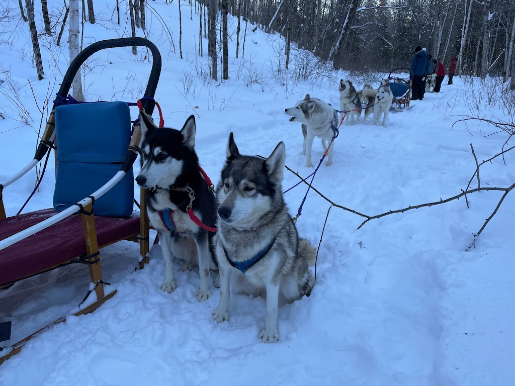 Winterdance Dogsled Tours | Hodgson Dr, Eagle Lake, ON K0M 1M0, Canada | Phone: (705) 457-5281