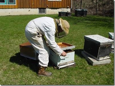 Daves Apiaries | 1481 Kilally Rd, London, ON N5V 5A2, Canada | Phone: (519) 453-7363