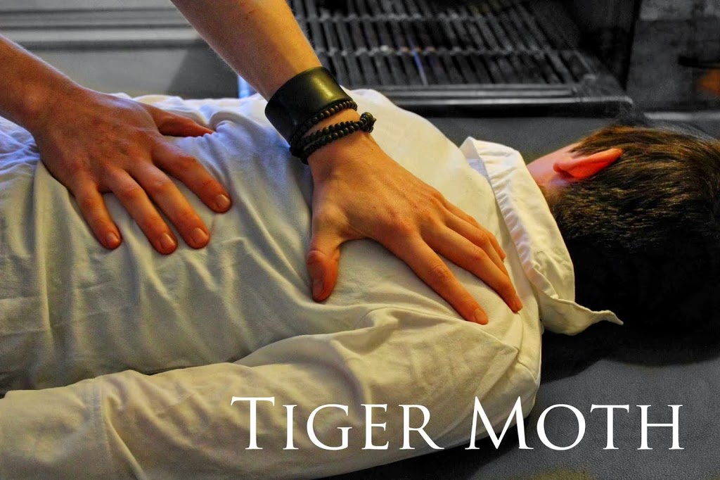 Tiger Moth Acupuncture | 56 Audrey Ave, Guelph, ON N1E 5Y2, Canada | Phone: (519) 803-0463