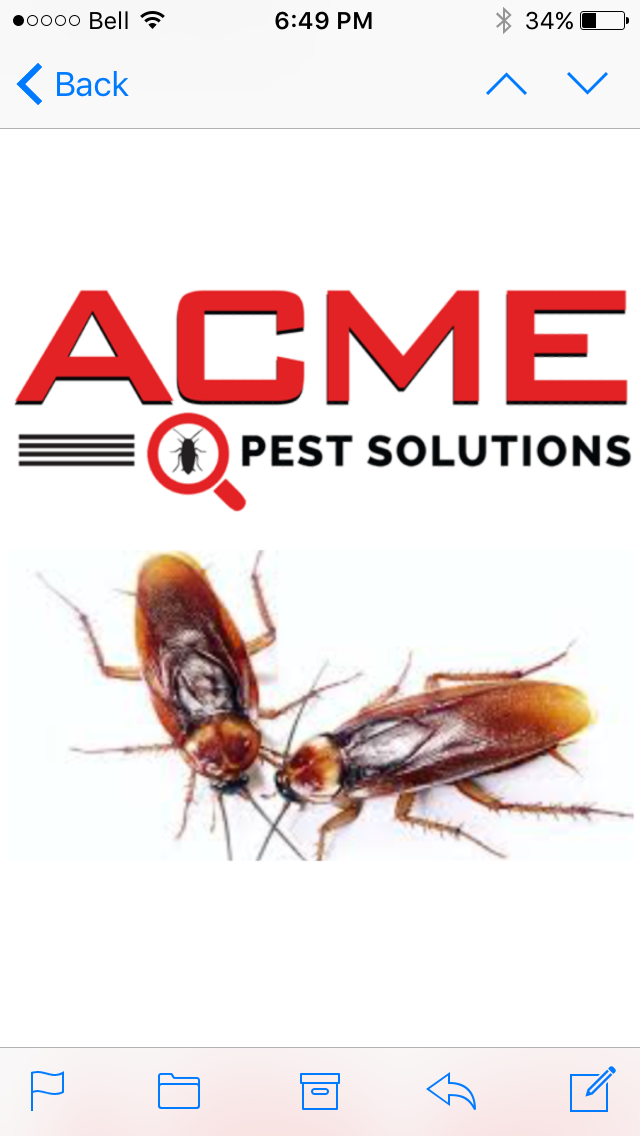 Pest Control Milton - Acme Pest Solutions | 1244 Ellenton Crescent, Milton, ON L9T 6V3, Canada | Phone: (416) 453-2444