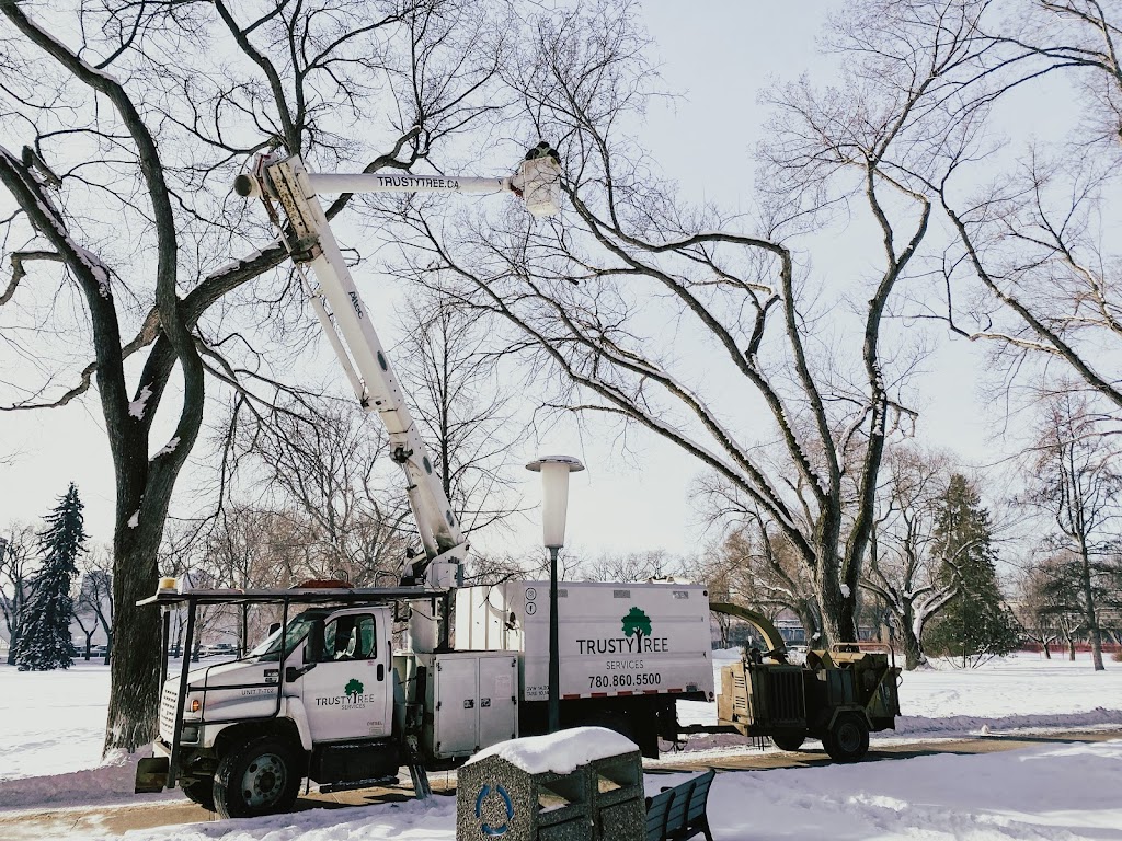 Trusty Tree Services | 11410 2 St, Sherwood Park, AB T8A 6E8, Canada | Phone: (780) 860-5500