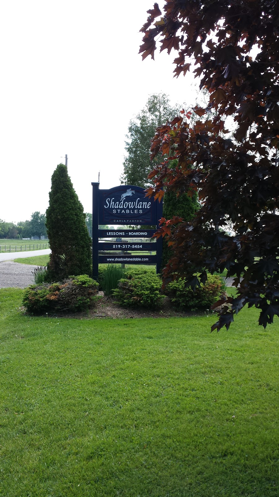 Shadowlane Stables | 10954 Gold Creek Dr, Komoka, ON N0L 1R0, Canada | Phone: (519) 317-5454