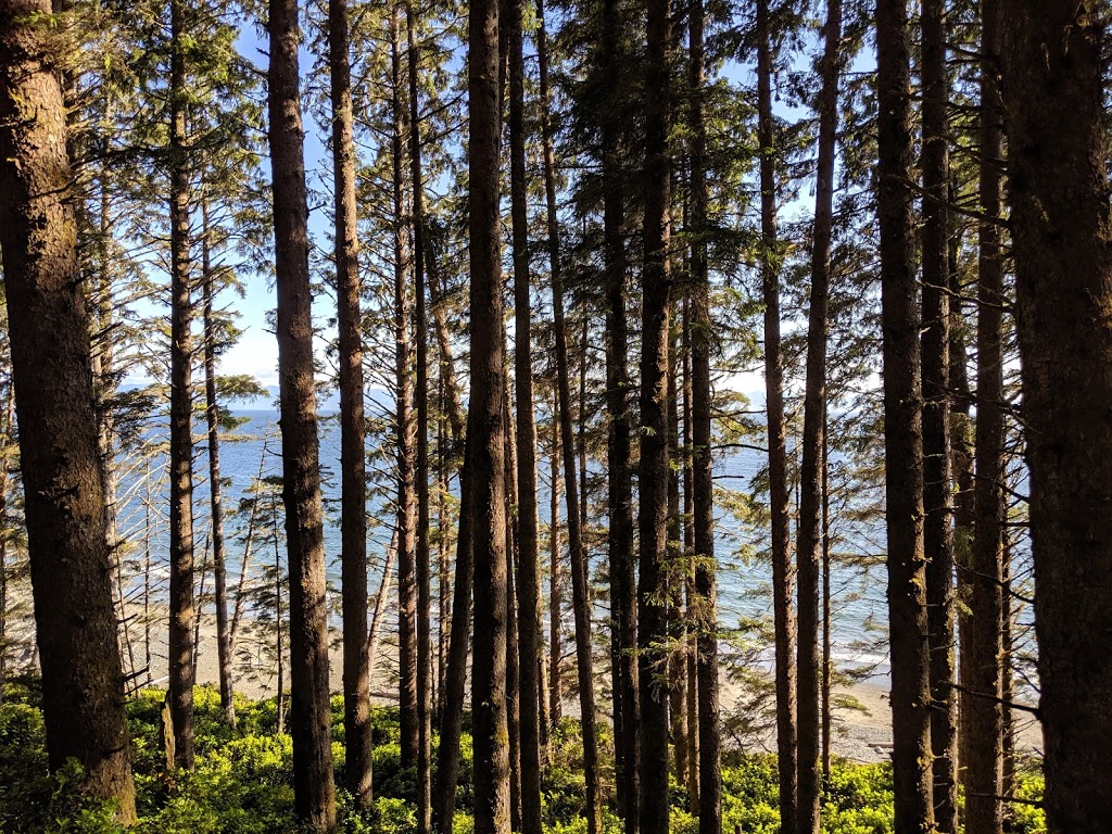 China Beach | China Beach Day Use Trail, Port Renfrew, BC V0S, Canada