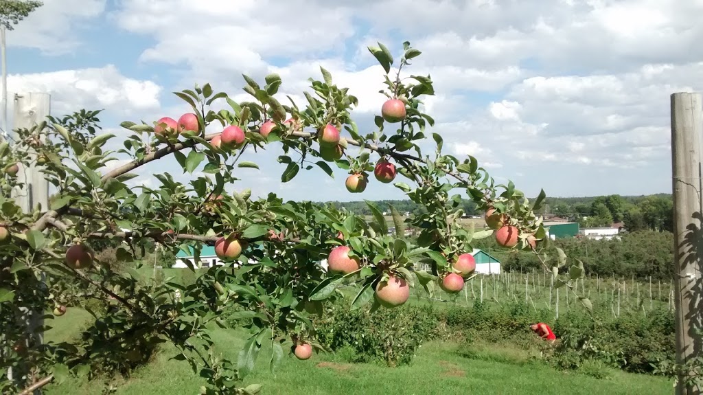 Ferme L. Denis | 692 Chemin Principal, Saint-Joseph-du-Lac, QC J0N 1M0, Canada | Phone: (450) 623-4874