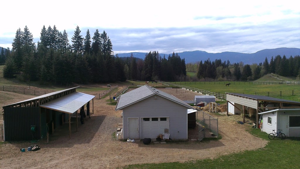 Woodcreek Equestrian | 561 60 St SE, Salmon Arm, BC V1E 1W4, Canada | Phone: (250) 253-1416