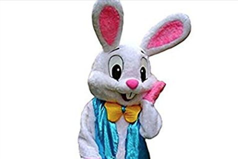 HIRE A EASTER BUNNY | 19133 73 Ave, Surrey, BC V4N 6S9, Canada | Phone: (604) 362-1001