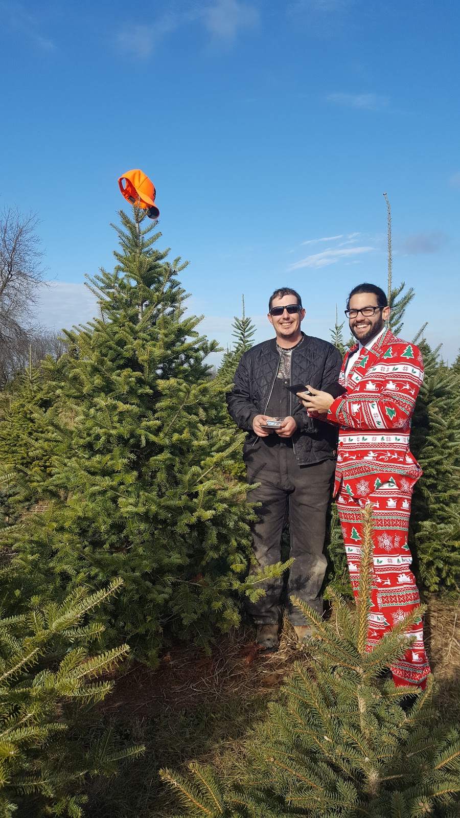 Vanderklooster Christmas Trees | 424847 Substation Rd, Burgessville, ON N0J 1C0, Canada | Phone: (519) 535-0215