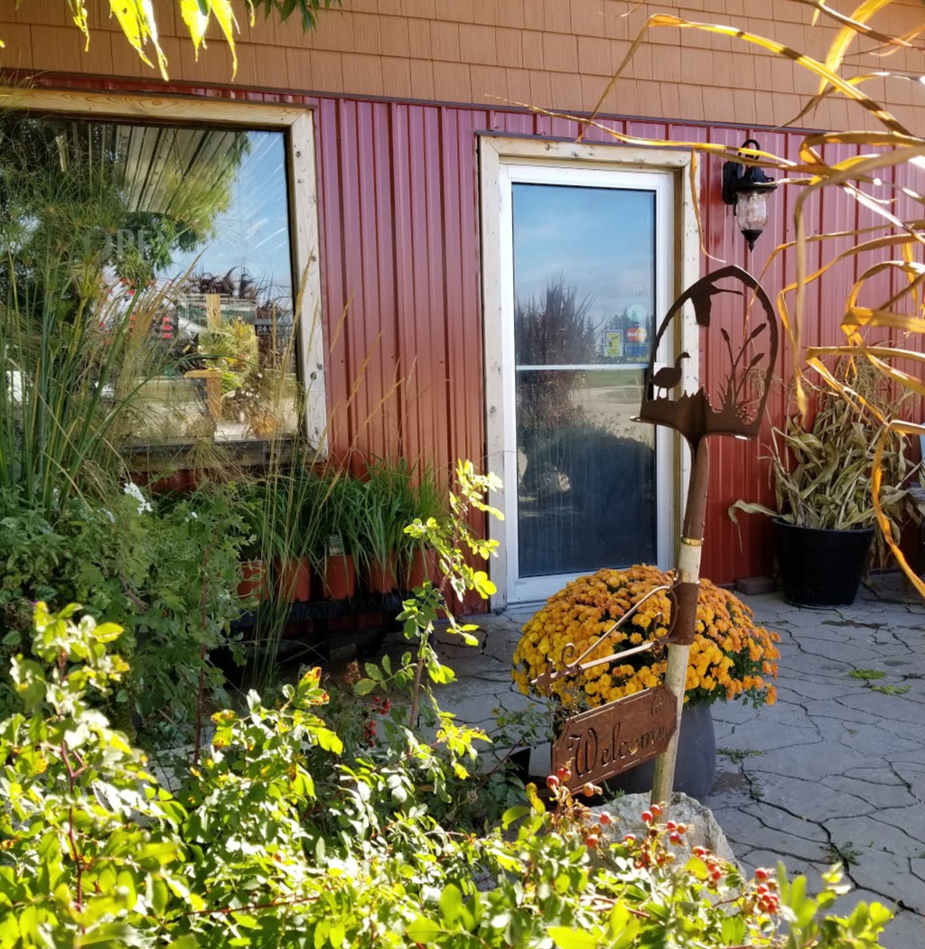 Jaspersons Greenhouse | 73107 Private, Provincial Road 236, Stonewall, MB R0C 2Z0, Canada | Phone: (204) 467-2081