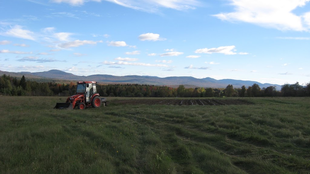 Ferme Terre et Vent | 139 Route du Parc, Notre-Dame-des-Bois, QC J0B 2E0, Canada | Phone: (819) 888-2715