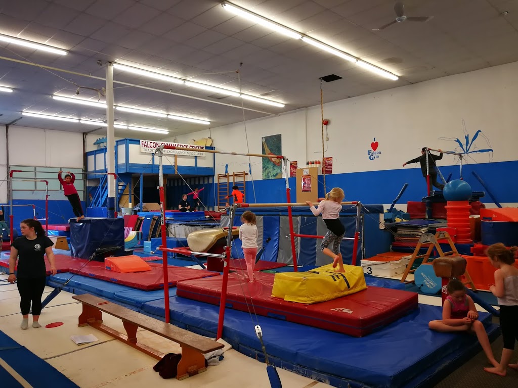 Falcon Gymnastics | 721 Vanalman Ave #208, Victoria, BC V8Z 3B6, Canada | Phone: (250) 479-6424