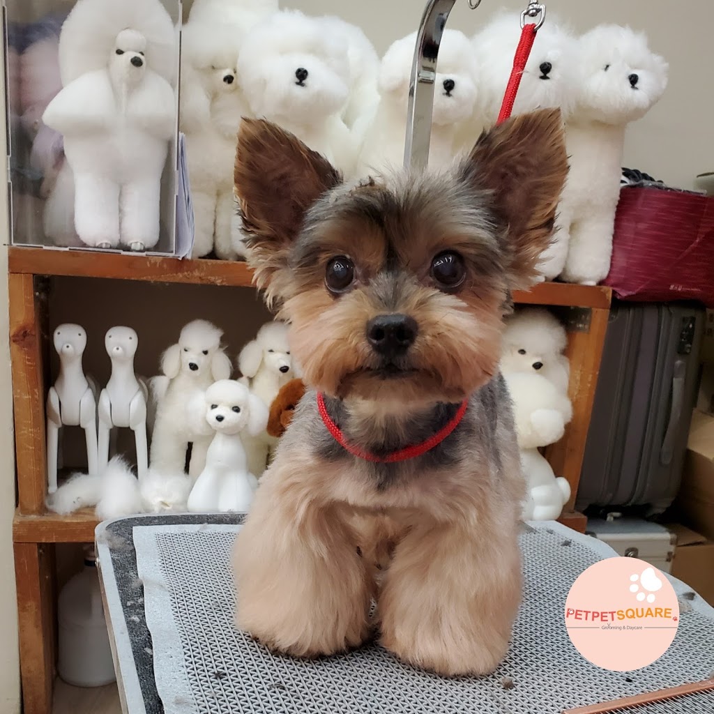 Pet Pet Square..(Grooming,Daycare,Home Boarding) | 6012 Denbigh Ave, Burnaby, BC V5H 3R5, Canada | Phone: (236) 513-9738