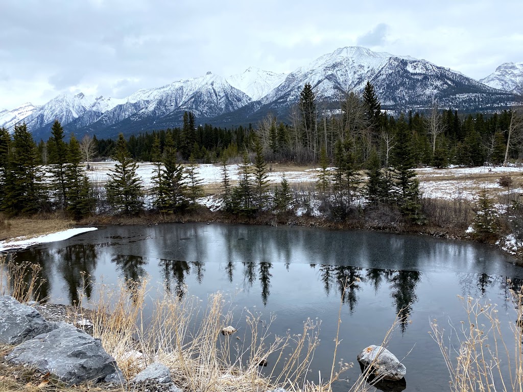 Cougar Creek Skating Rink | Elk Run Blvd, Canmore, AB T1W 1G3, Canada | Phone: (403) 678-1580