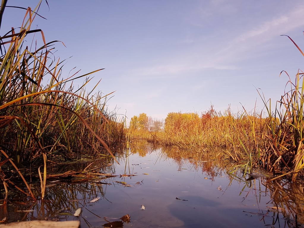 François Dupont Park | Chatelaine Village, Ottawa, ON K1E 1C8, Canada | Phone: (613) 580-2400