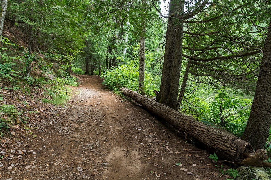 Egan Chutes Provincial Park | 487 Detlor Rd, LAmable, ON K0L 2L0, Canada | Phone: (613) 339-2807