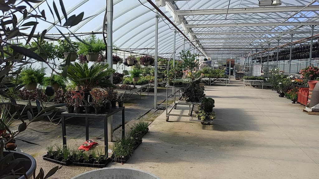 Richmond Nursery Strawberry Farm | 5740 Old Richmond Rd, Richmond, ON K0A 2Z0, Canada | Phone: (613) 838-2282