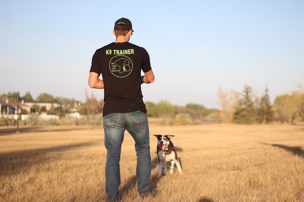 No Dog Left Behind | 710 Fairford St W Unit #3, Moose Jaw, SK S6H 1W4, Canada | Phone: (306) 630-5801