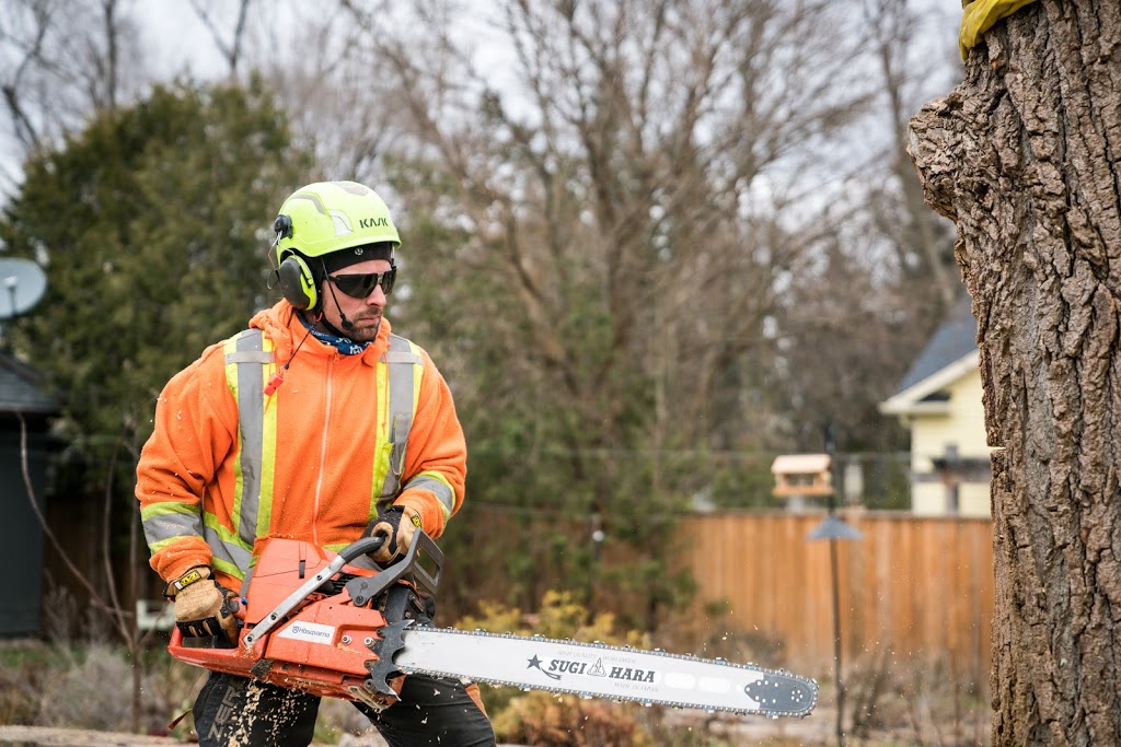 Brooklin Tree Care | 6675 Cochrane St, Whitby, ON L1M 1R4, Canada | Phone: (905) 242-2279